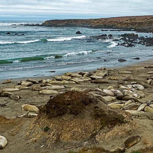 Pacifichighway 25