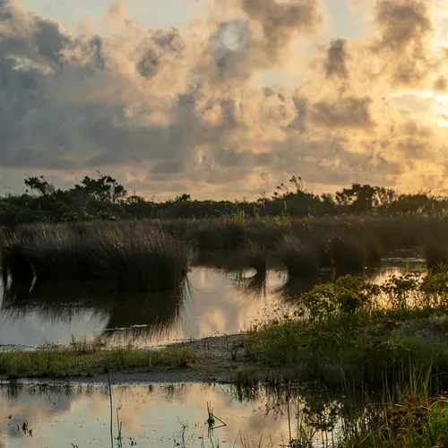 Sunrisehbsp 47