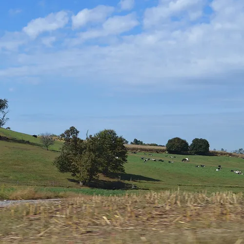 Green Mtns 1