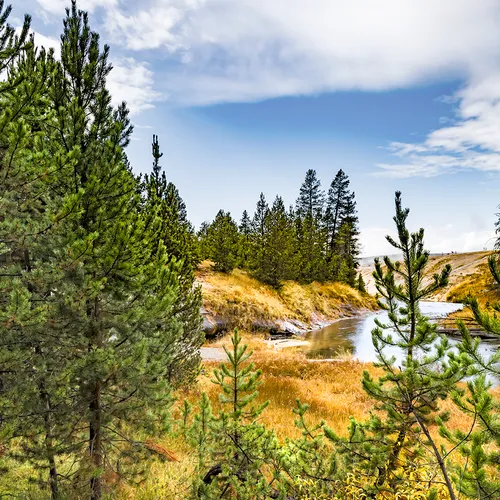 Yellowstone 7