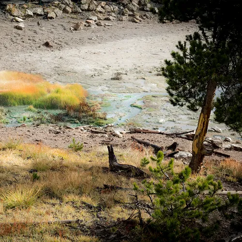 Yellowstone 53