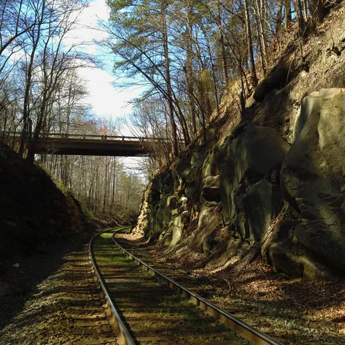 RR Track 6