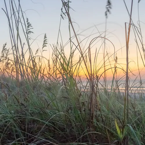 Sunrisehbsp 38