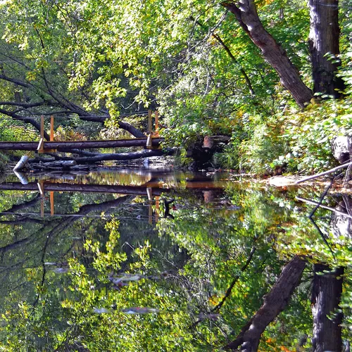 Bridge Reflection