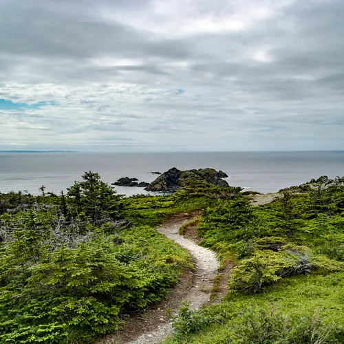 Twillingate 10