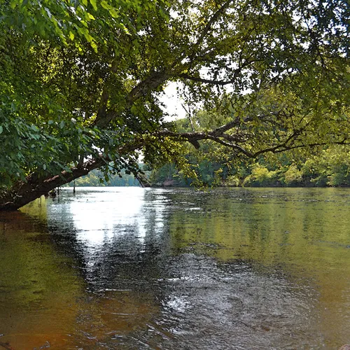 Yadkin-Peedee 11