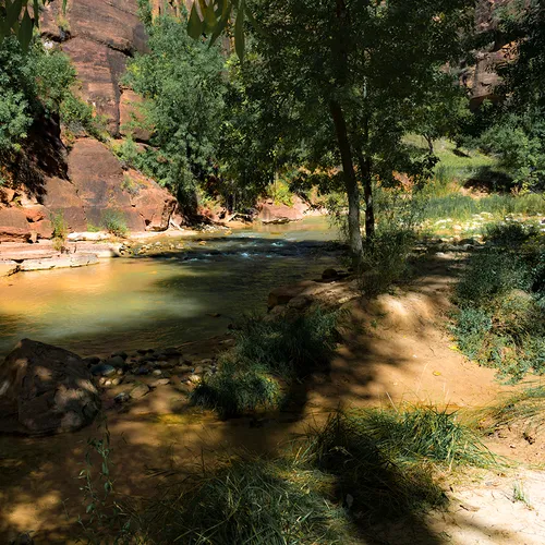 Zion 42