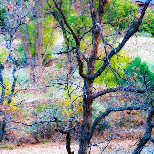Zion 5