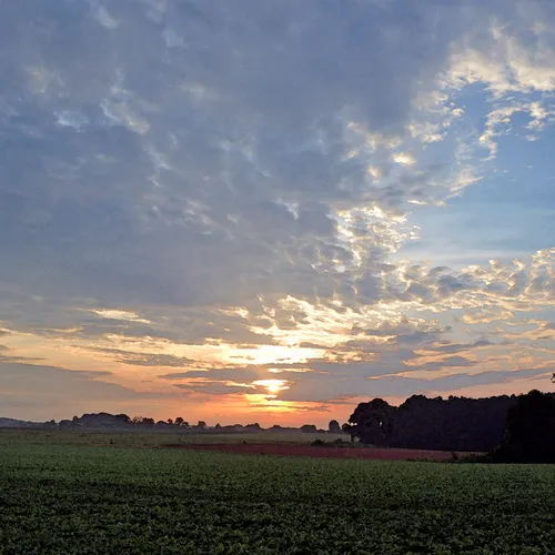 Hoffner Farm 24