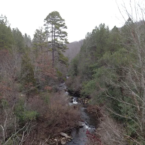 Uwharrie stream