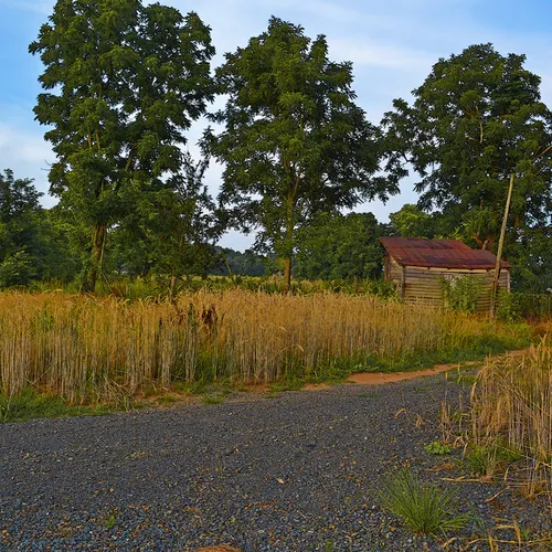 Rowan County 2