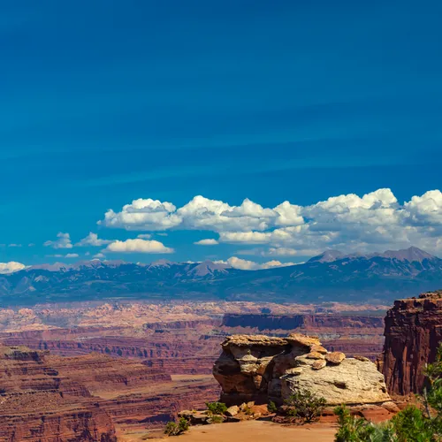 Canyonland 2019