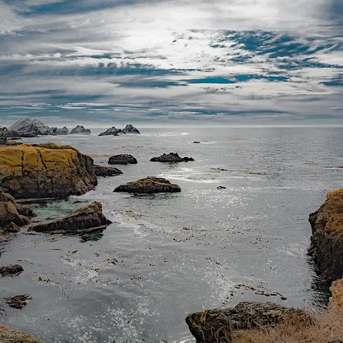 Pacifichighway 14