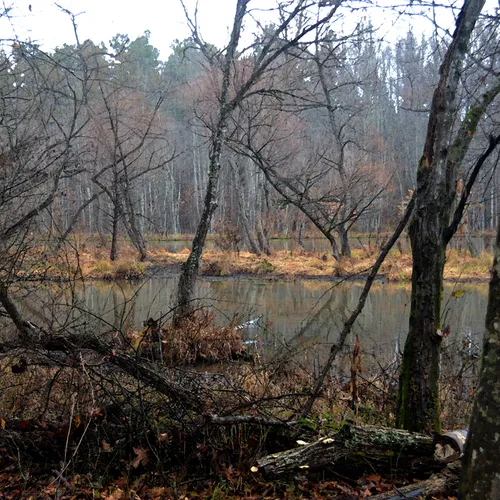 Coriher Park 2