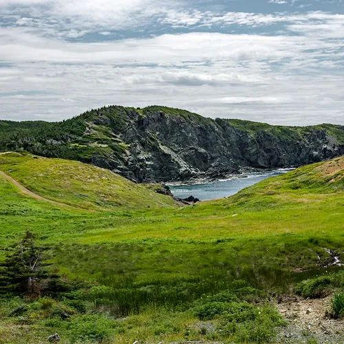 Twillingate 24