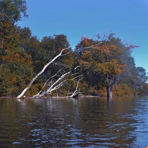 Kayaking 7