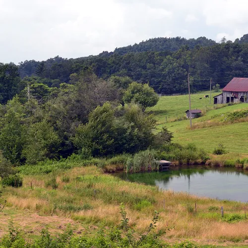 BlueridgeParkway 6