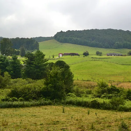 Landscape 2