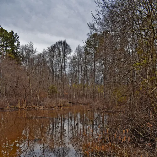 Wildlife Access 12