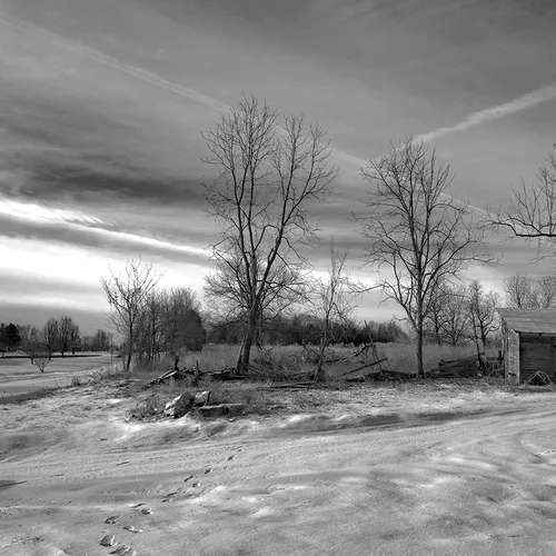 Shed 1