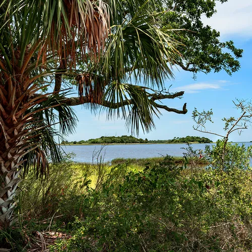 Cedarkey 14