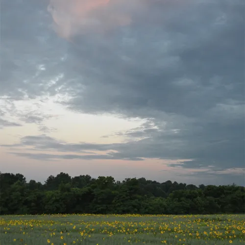 Hoffner Farm 27