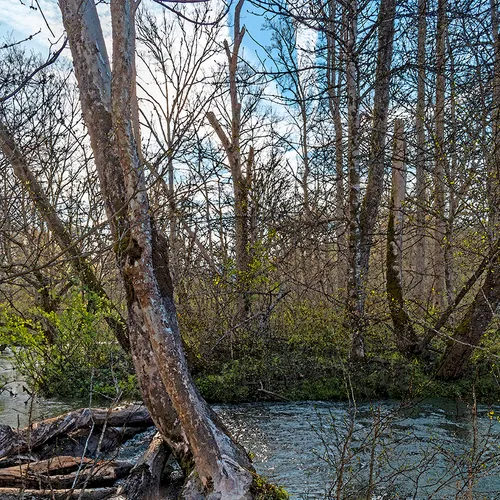 Cadescove 6