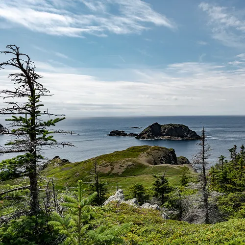 Twillingate 27