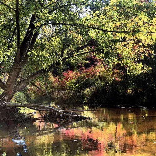 Kayaking 5
