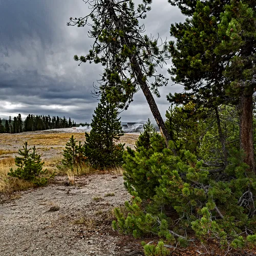Yellowstone 45