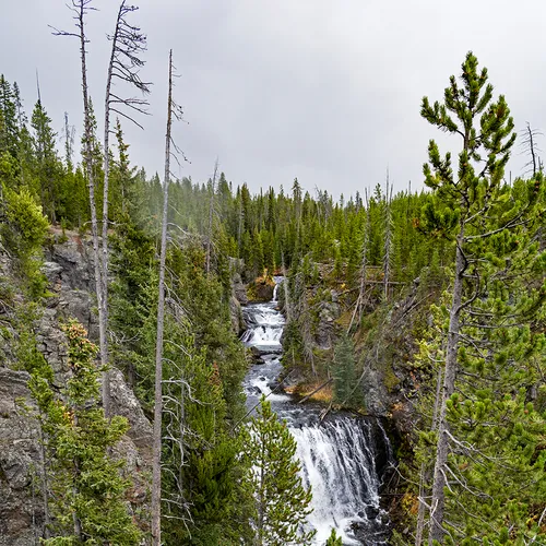 Yellowstone 2