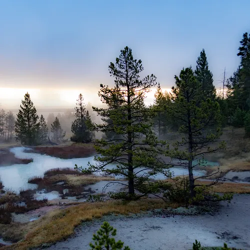 Yellowstone 25