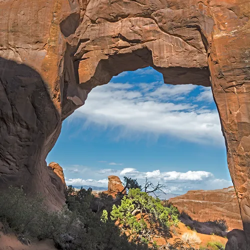 Arches 41