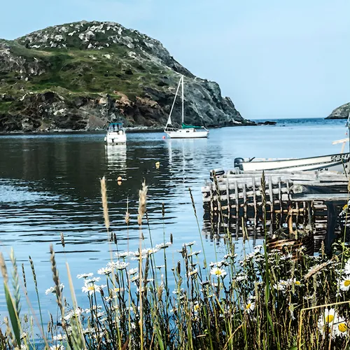 Twillingate 56