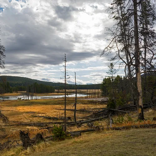 Yellowstone 38