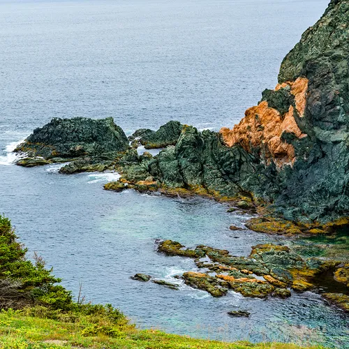 Twillingate 15