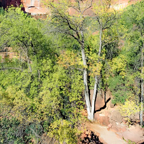 Zion 16