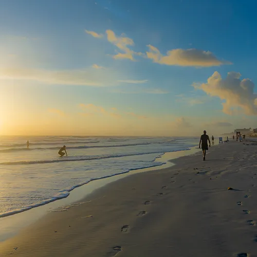 Nsb 25