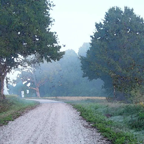 Fancy Sloan road