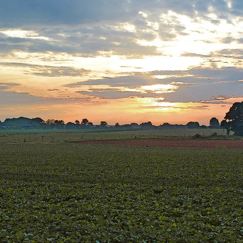Hoffner Farm 25
